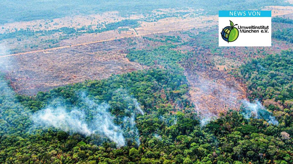 Brandrodung im Amazonas-Regenwald. News von Umweltinstitut München e.V.
