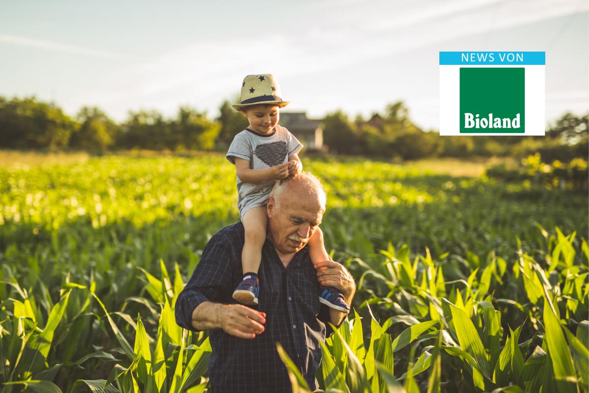 News von Bioland (Symbolbild: Großvater trägt Enkel auf seinen Schultern durch ein Bio-Maisfeld)